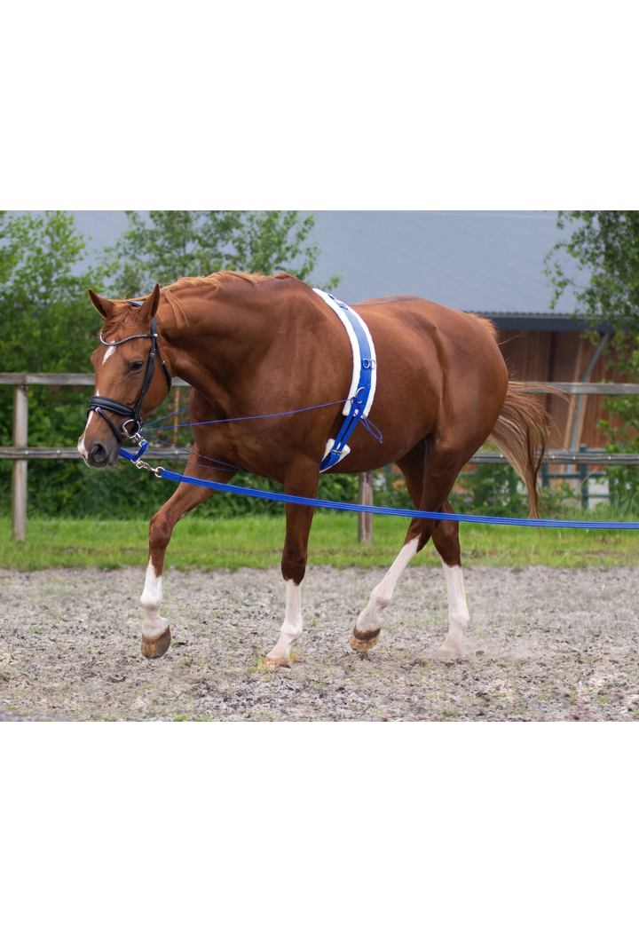 Linia Lunge QHP Lunge 8m