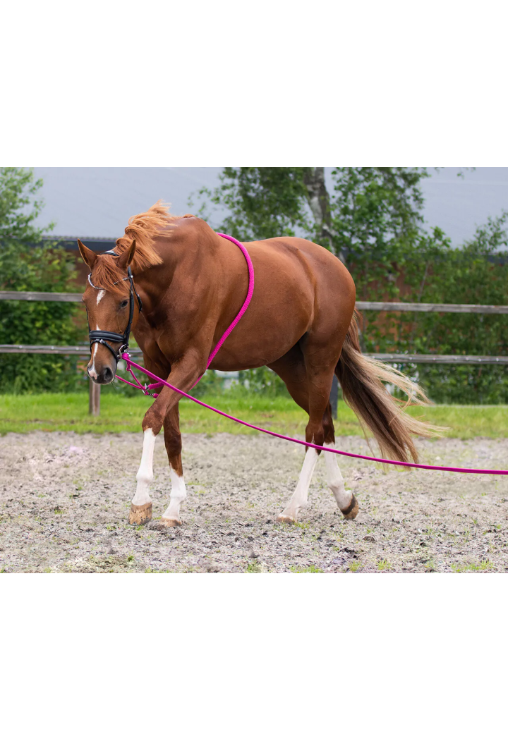Lunge linka QHP Lunge 8m