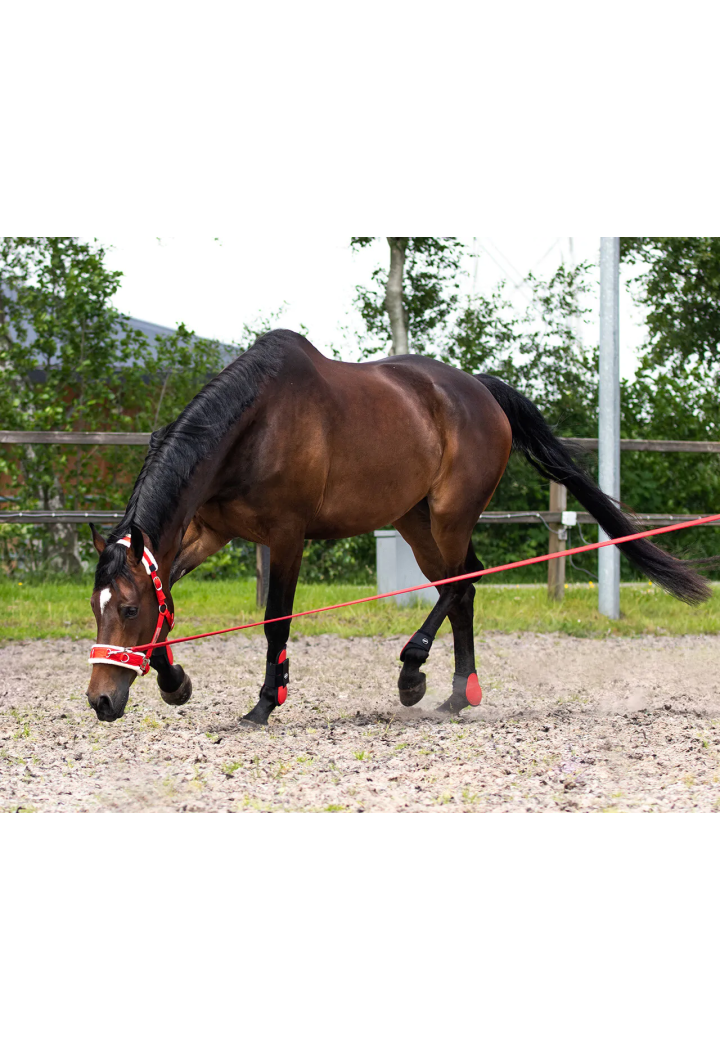 Lunge line QHP Lunge 8m