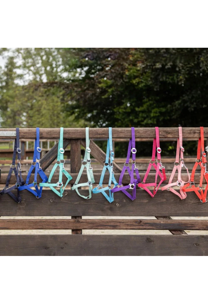 Ohlávka QHP Slide