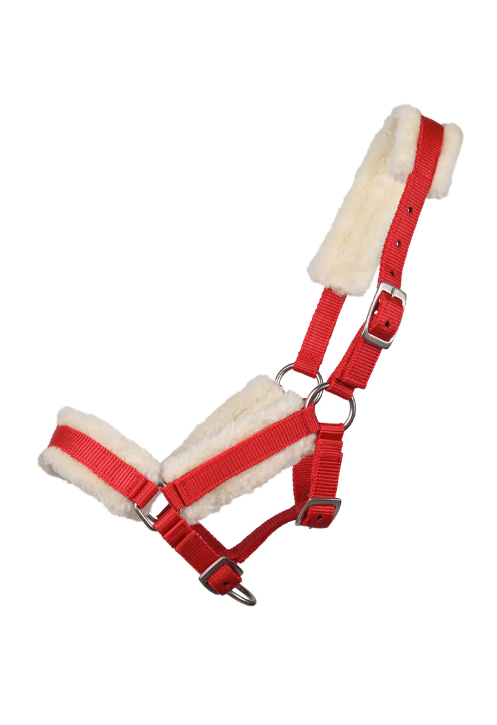 Headcollar foal QHP Fur