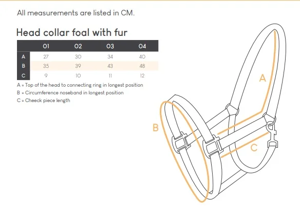 Headcollar foal QHP Fur