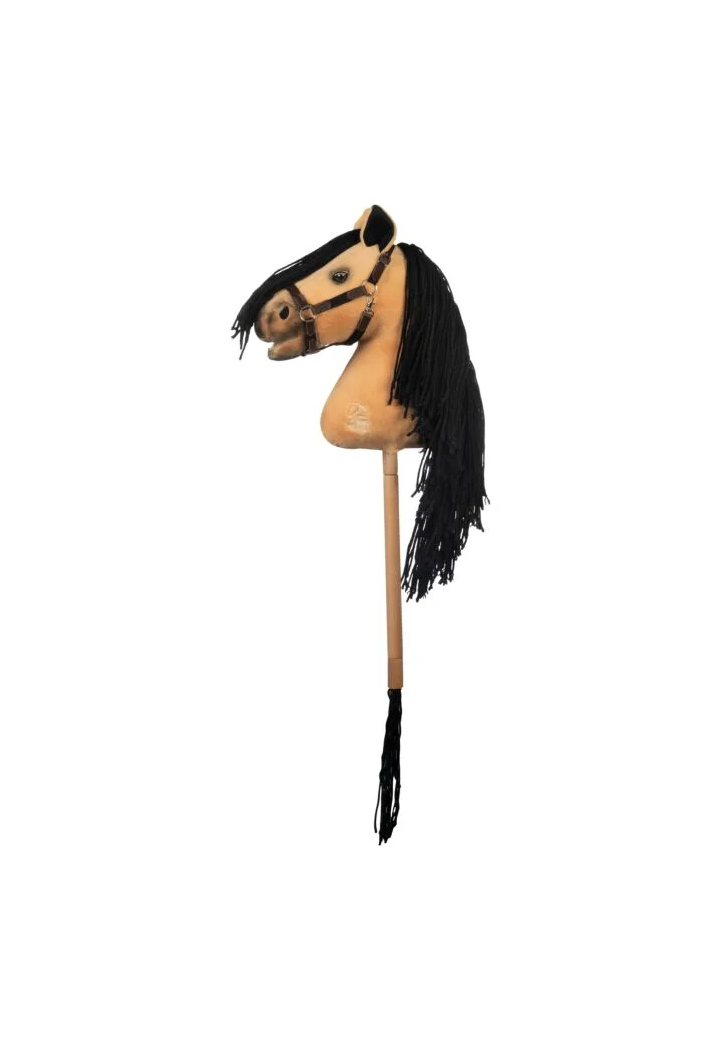 Little horse on the HKM Hobby Horse Premium stick
