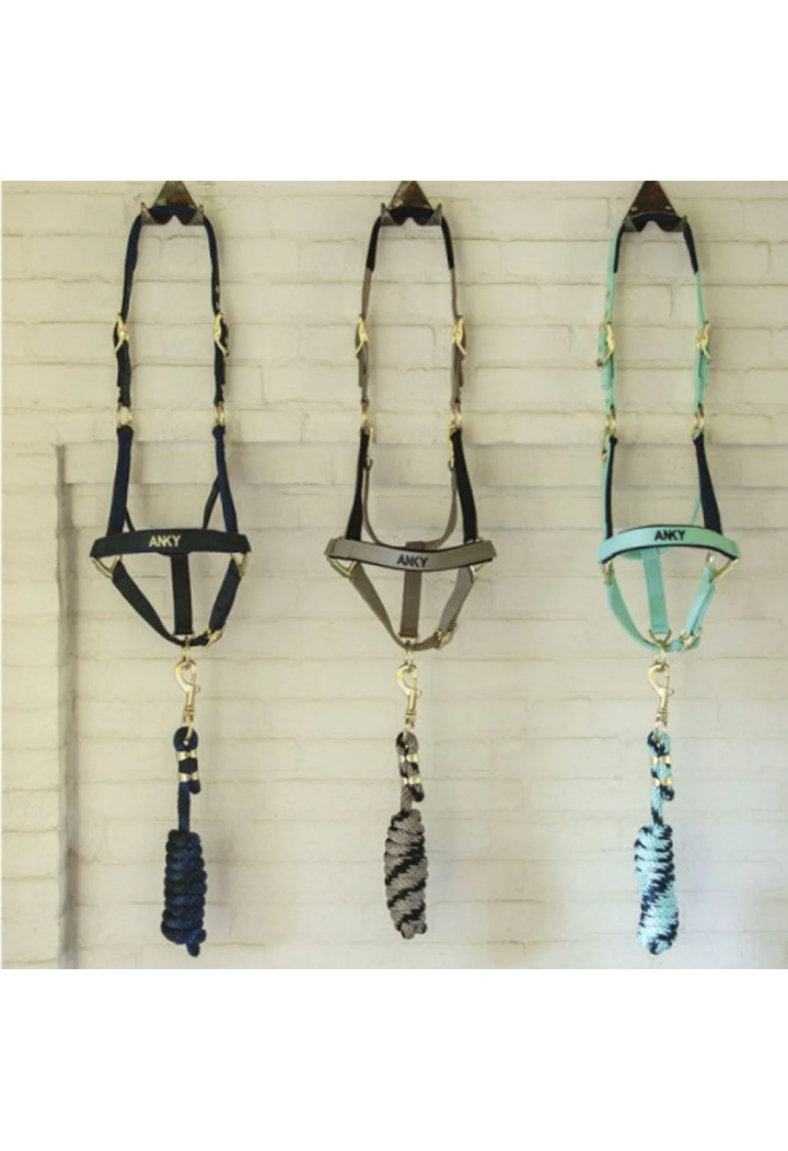 Ohlávka ed vodítko ANKY Halter and Lead 25 SS