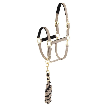 Ohlávka ed vodítko ANKY Halter and Lead 25 SS
