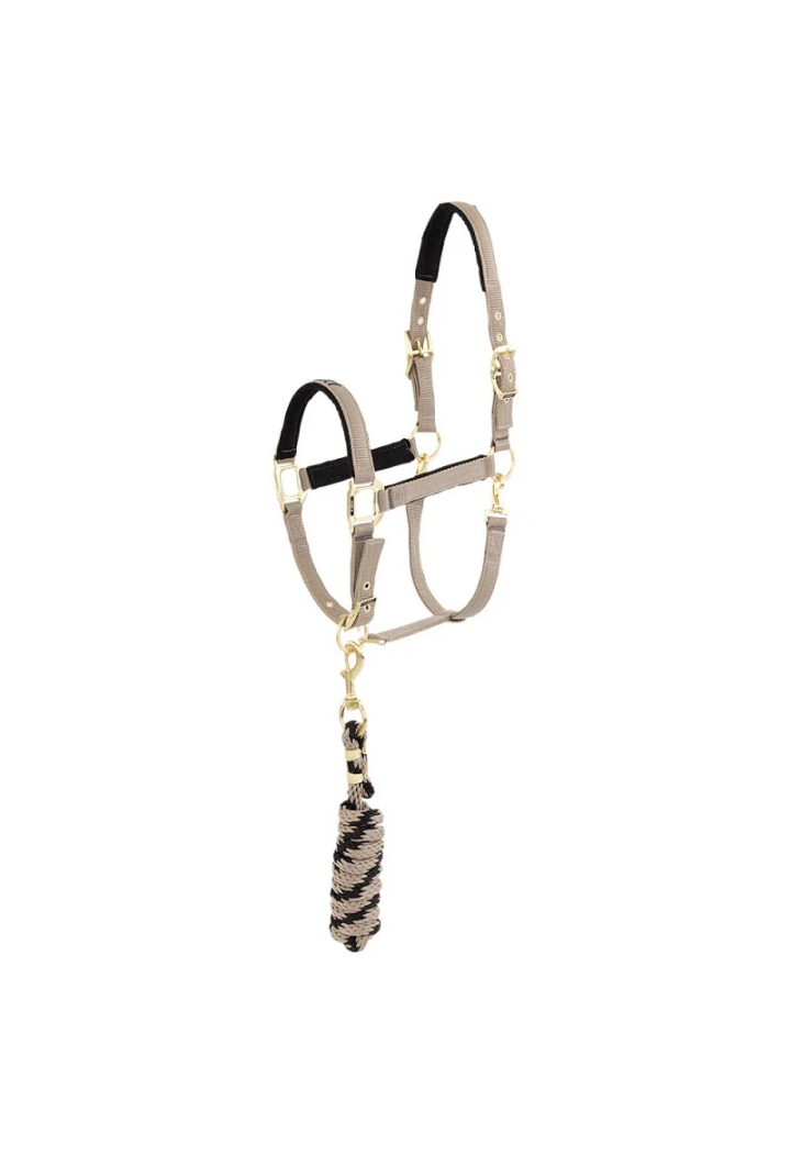 Kantar z uwiąz ANKY Halter and Lead 25SS