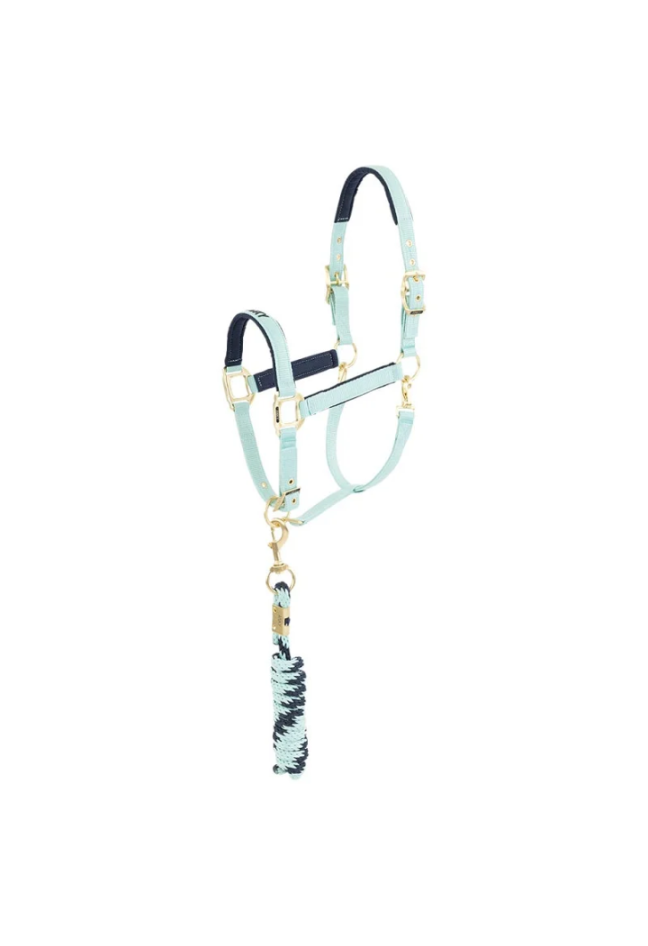 Halfter ed Führstrick ANKY Halter und Lead 25 SS