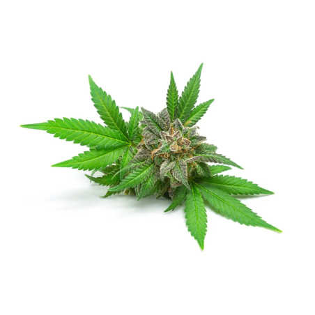 EQUIHERBS 1kg Getreidehanf