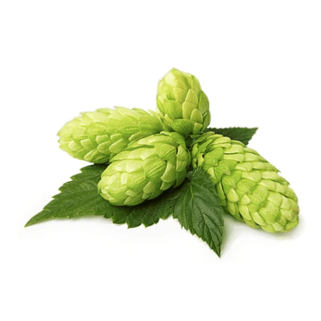 EQUIHERBS 500g hop cones