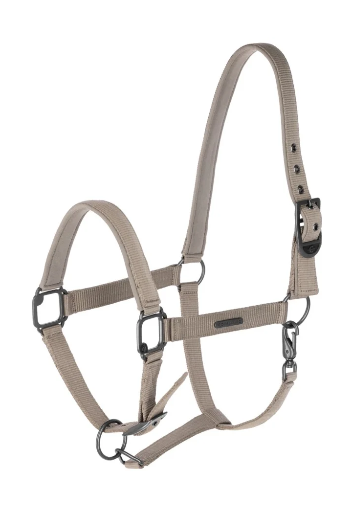 Cavezza COVALLIERO 25