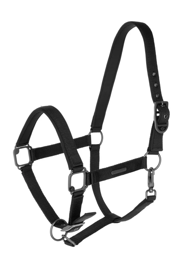 Cavezza COVALLIERO 25
