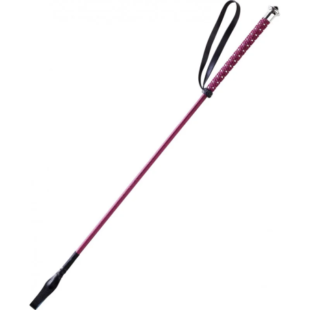 Jezdecký bičík WHIP&GO Points