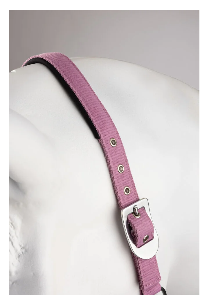 Headcollar and lead rope HORZE Graffiti 25SS