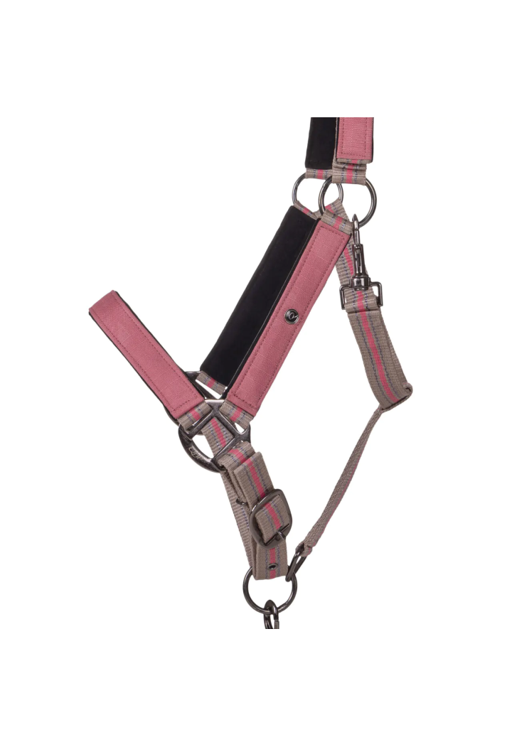 Cavezza con lunghina QHP Collection 25SS