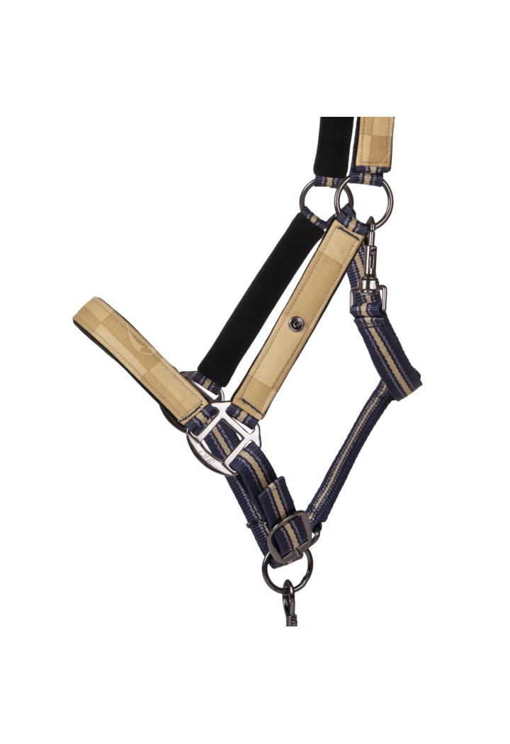 Halfter mit Führstrick QHP Collection 25SS