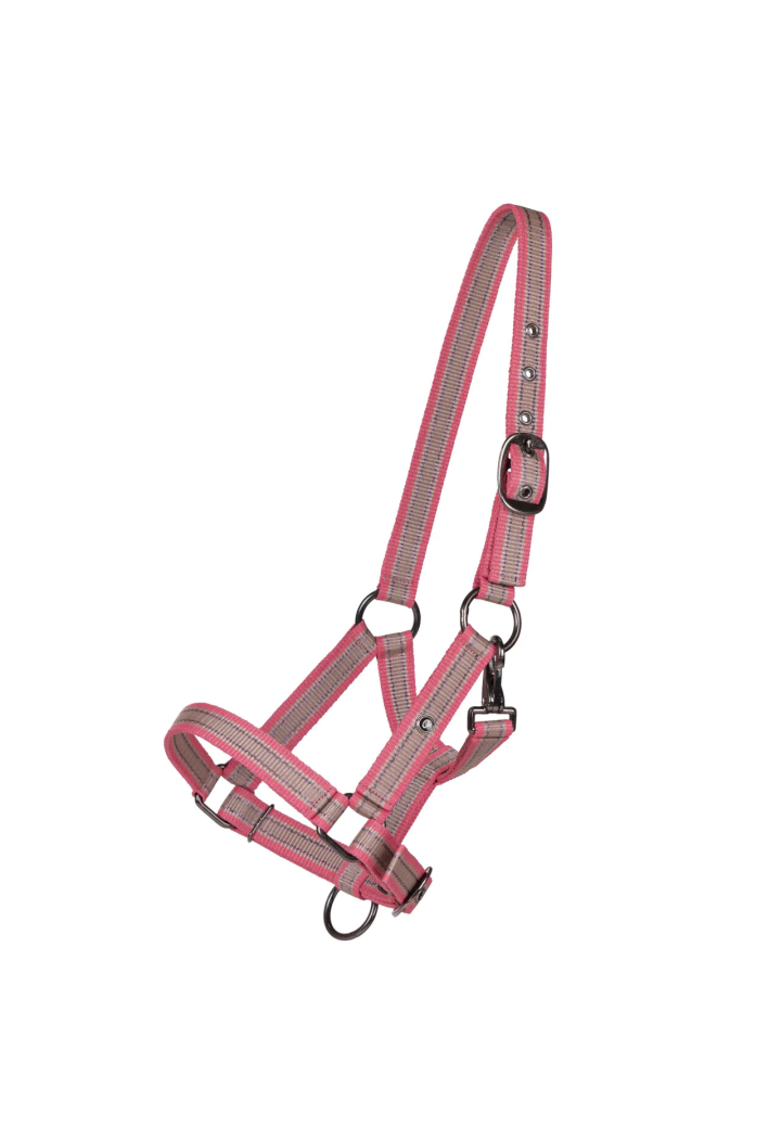 Căpăstru Foaled QHP Collection 25SS