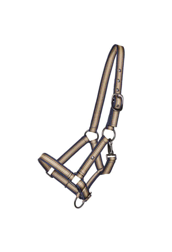Căpăstru Foaled QHP Collection 25SS