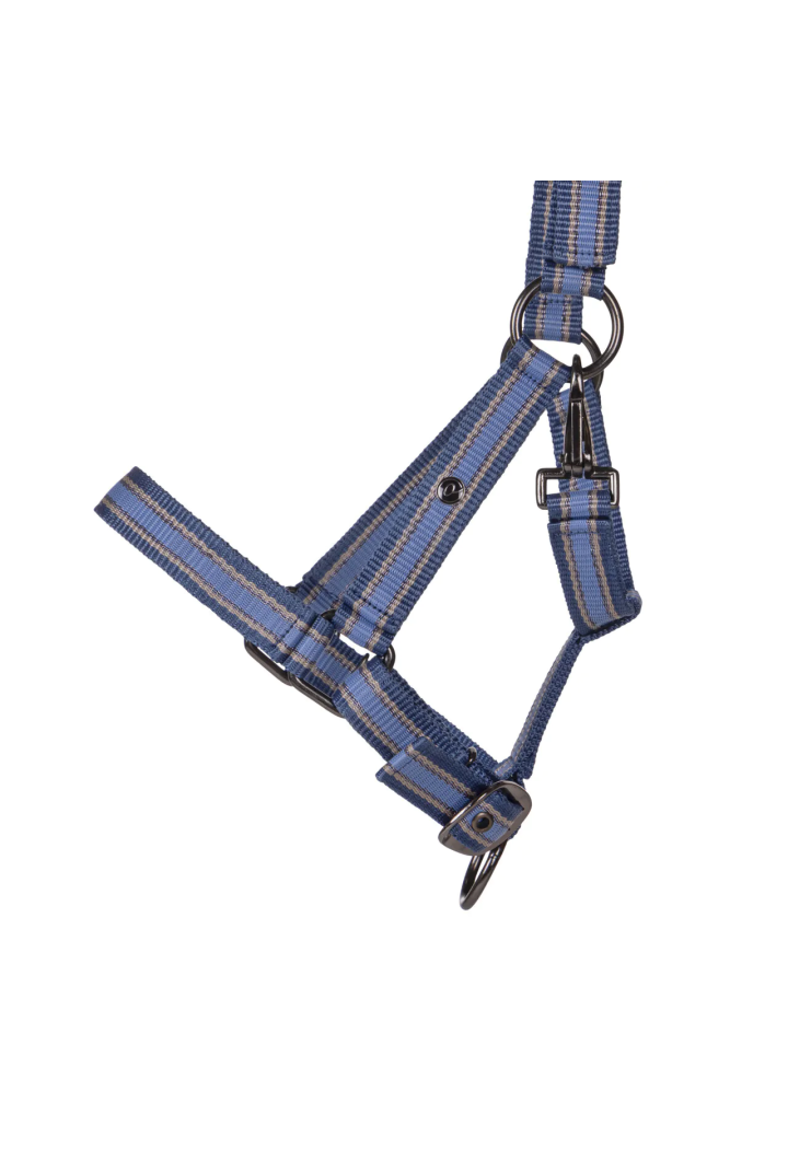 Cavezza Foaled QHP Collection 25SS