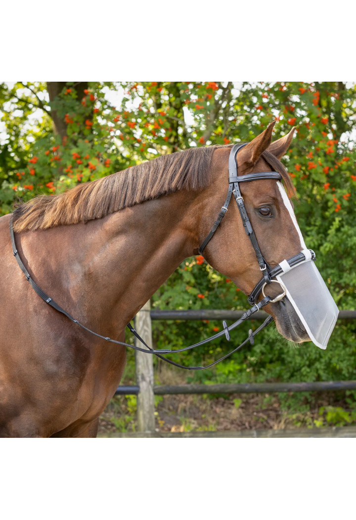 Fly mask on QHP UV nose