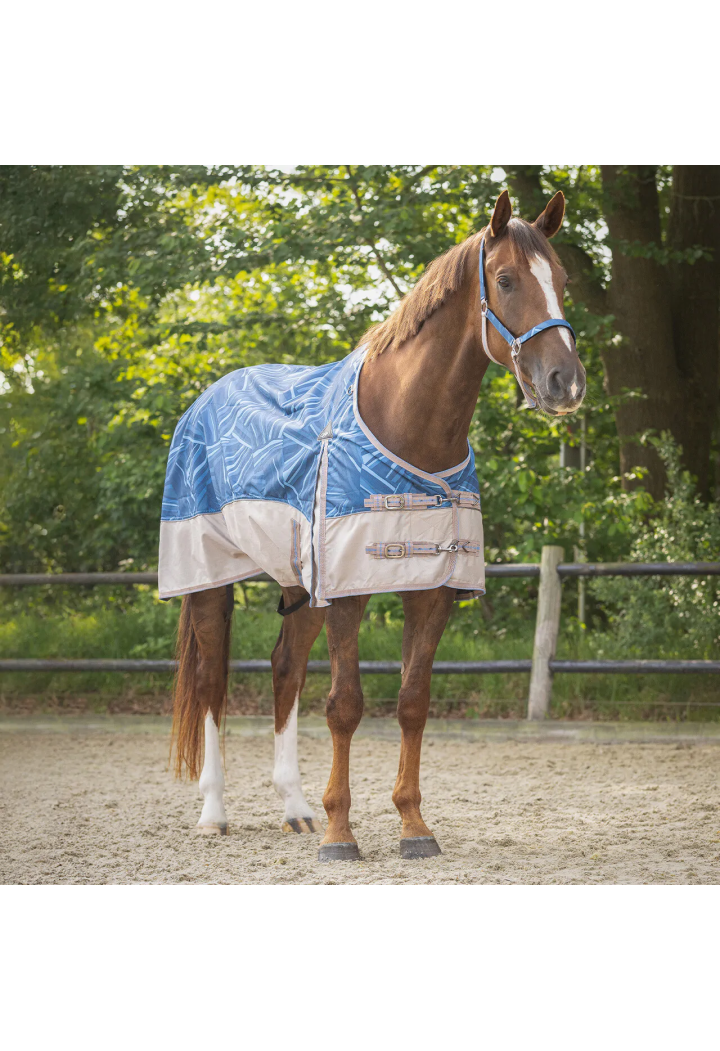 Turnout rug QHP Collection 25SS