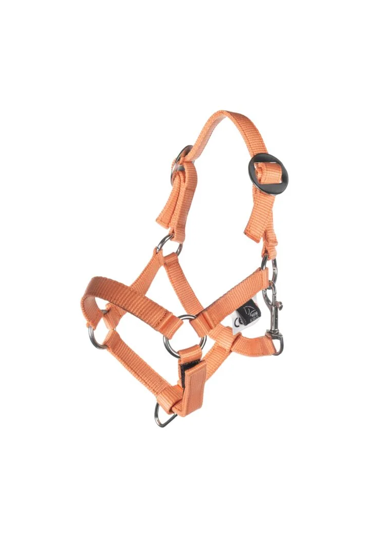 Cavezza con lunghina HKM HobbyHorsing Basic
