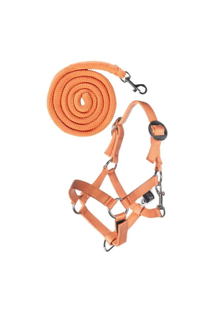 Cavezza con lunghina HKM HobbyHorsing Basic