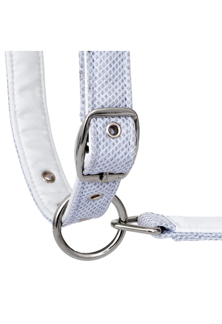 Headcollar EQ.QUEEN Rotterdam 25SS