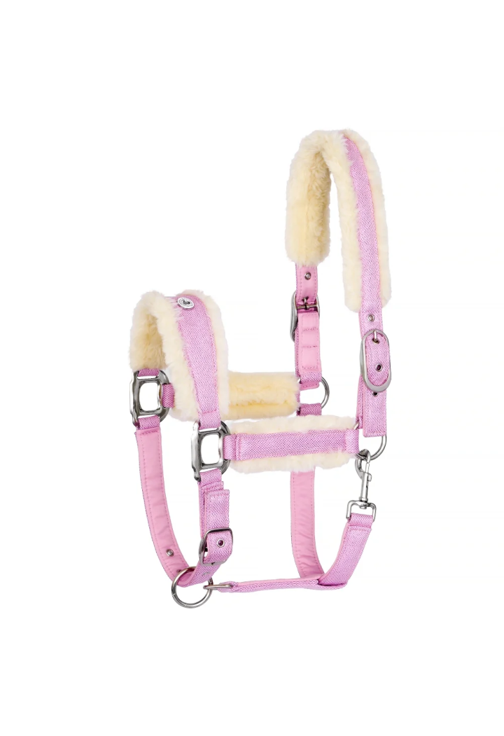 Headcollar EQ.QUEEN Rotterdam 25SS