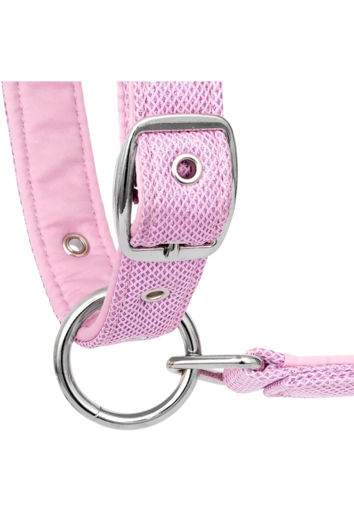 Headcollar EQ.QUEEN Rotterdam 25SS