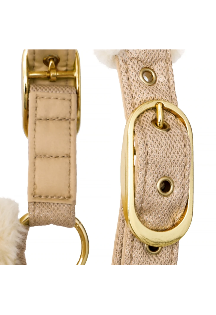 Headcollar EQ.QUEEN Rotterdam 25SS