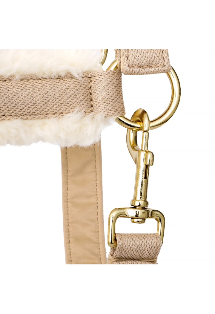 Halfter EQ.QUEEN Rotterdam 25SS