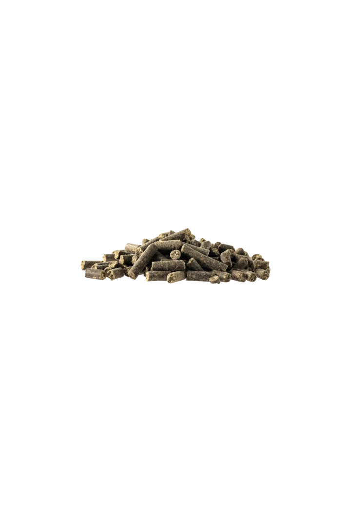 Aminoacidi JOSERA HelpAminoBalancer 4kg