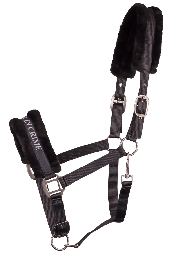 Headcollar HH Lyrics Quotes