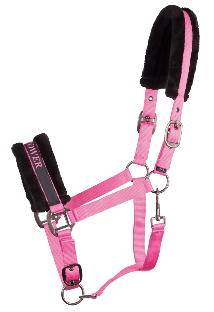 Citazioni di testi Cavezza HH