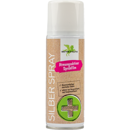B&E SilberSpray 200ml hliníkový sprej