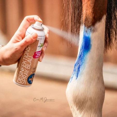 Spray Desinfizieren Blau B&E Desinfektion 200ml