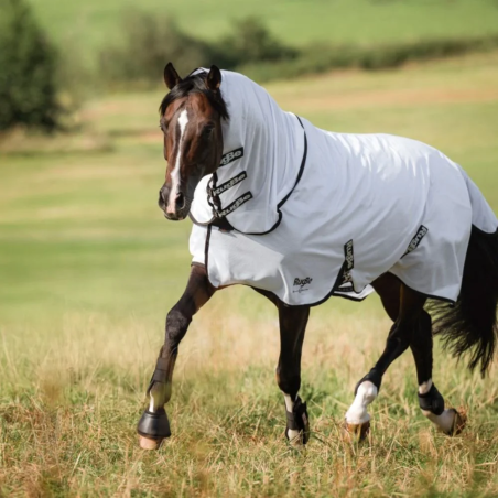Pferdedecke mesh COVALLIERO RugBeSuperFly