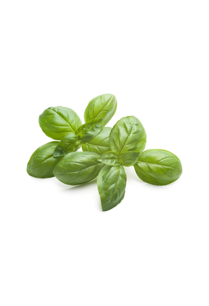 Basilio EQUIHERBS 500g