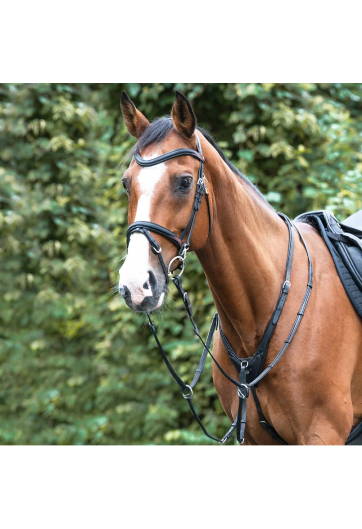 Martingale KAVALKADE leather Azriel black/black CS/FS