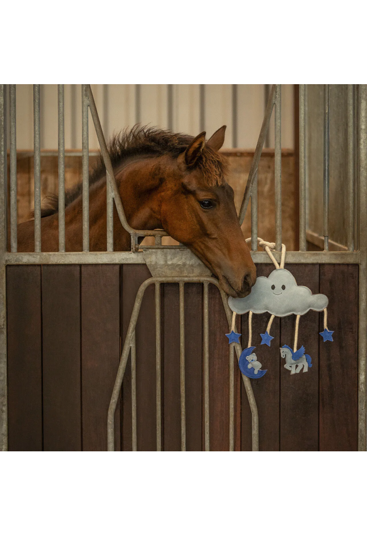 Toy for horse QHP Novy