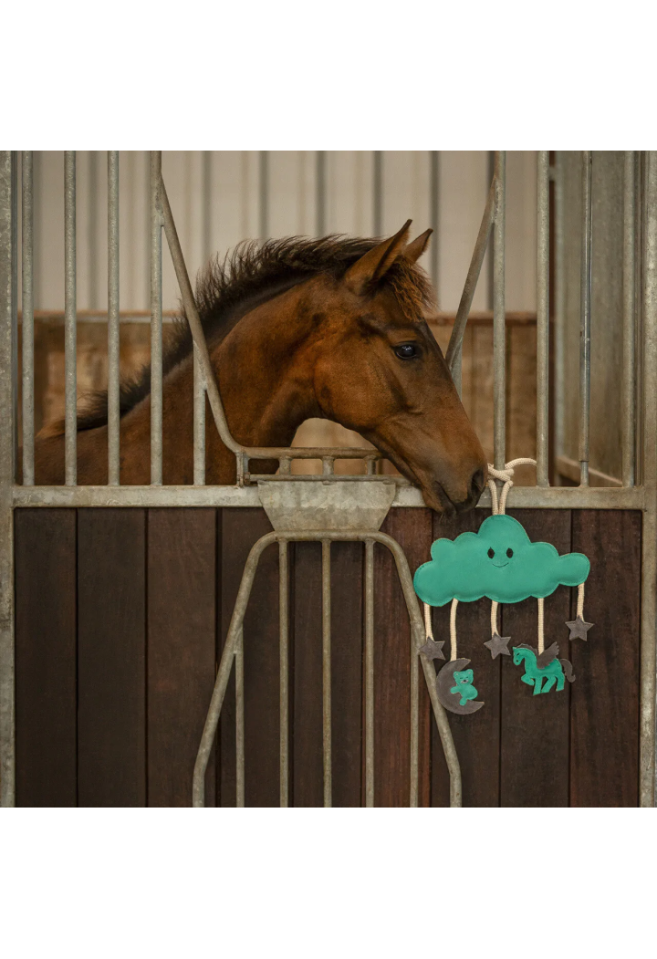 Giocattolo per cavallo QHP Novy