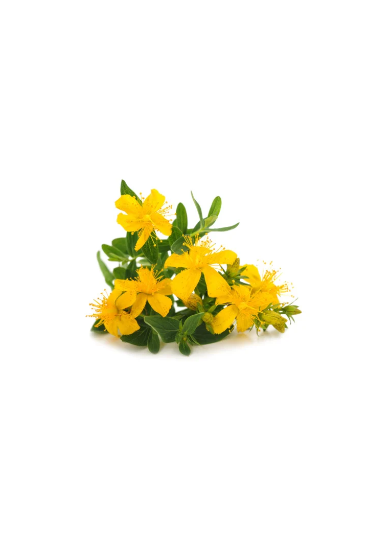 Iperico EQUIHERBS 500g