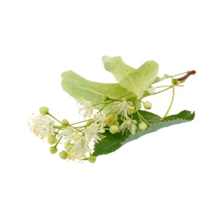 Lipa EQUIHERBS 500g