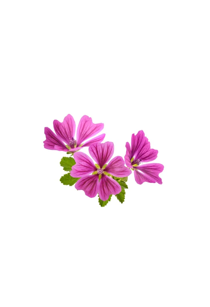 Floare sălbatică EQUIHERBS 500g