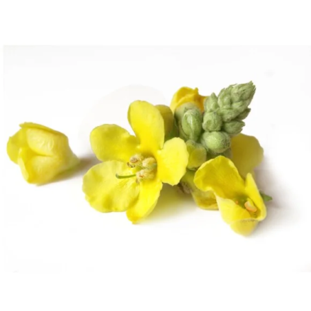 Verbasco fiore EQUIHERBS 500g