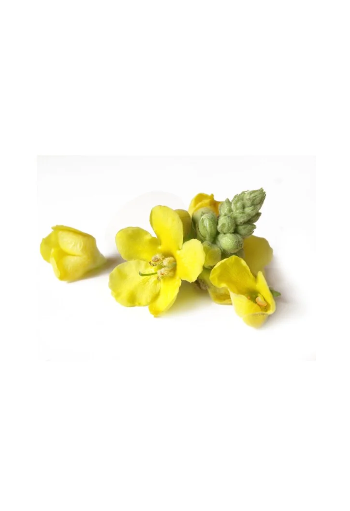 Mullein flower EQUIHERBS 500g