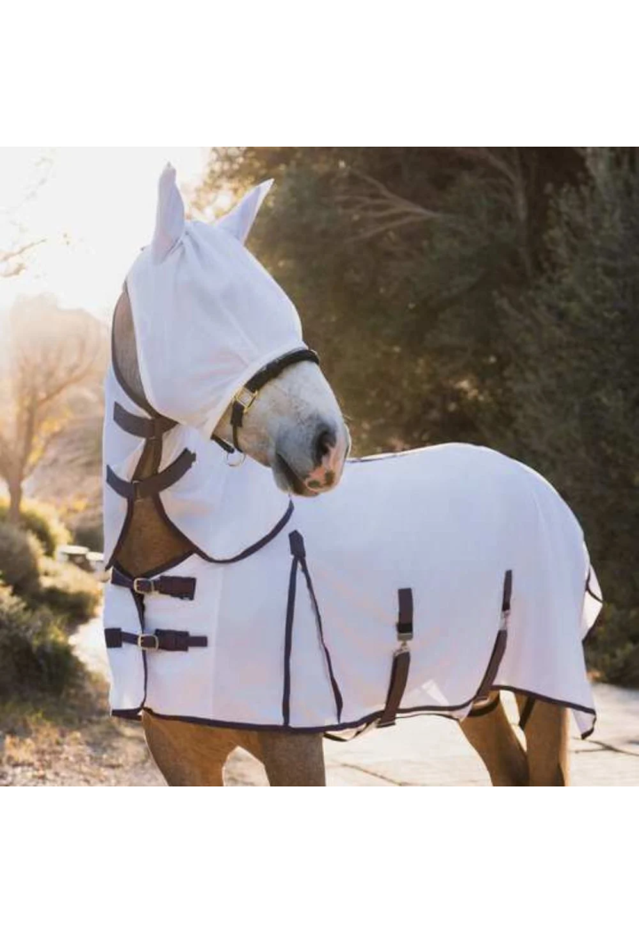 Horse rug net+mask HORZE LaPazFlySet 25SS