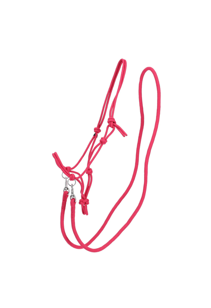 Halfter String mit Zügel QHP Color
