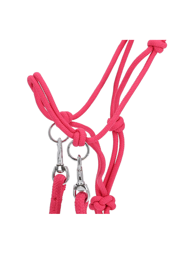 Halfter String mit Zügel QHP Color