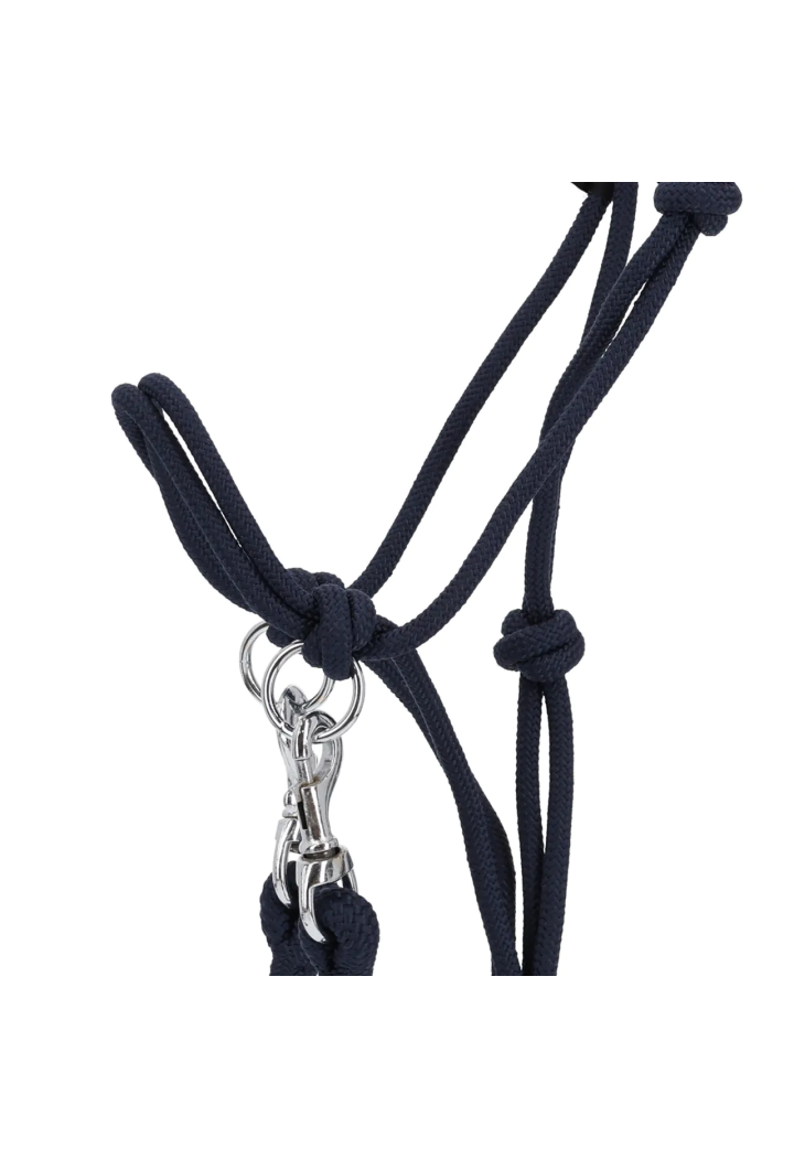 Halfter String mit Zügel QHP Color